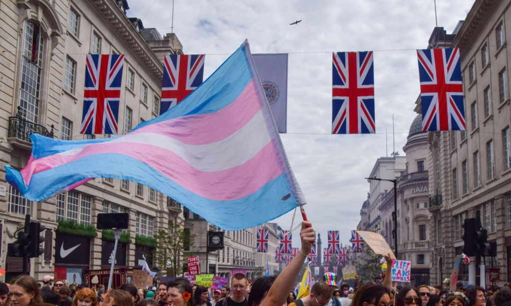 A trans activist wields a transgender flag at a Pride protest.