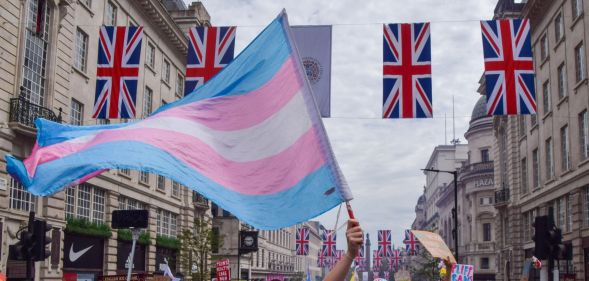 A trans activist wields a transgender flag at a Pride protest.