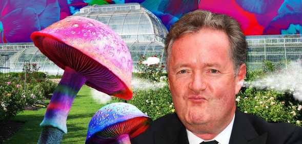 Kew Gardens' Queer Nature event has drawn the ire of Piers Morgan.
