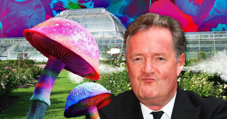 Kew Gardens' Queer Nature event has drawn the ire of Piers Morgan.