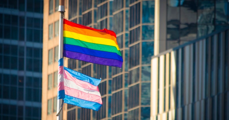 Rainbow flag and Trans flag on a flagpole in front of office buildings