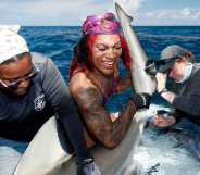 Shark tagging drag queen