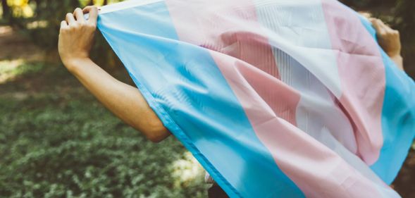 Stock image of a person holding a trans flag