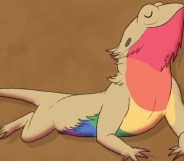 Queer bearded dragon
