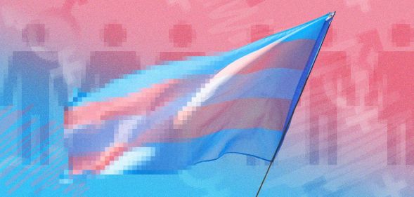 A partially pixelated transgender Pride flag edited into a graphic of trans identities.