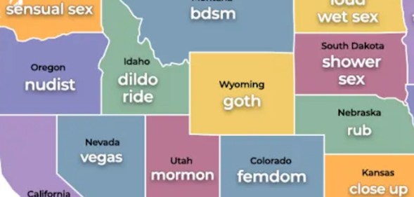 Map of US Pornhub searches