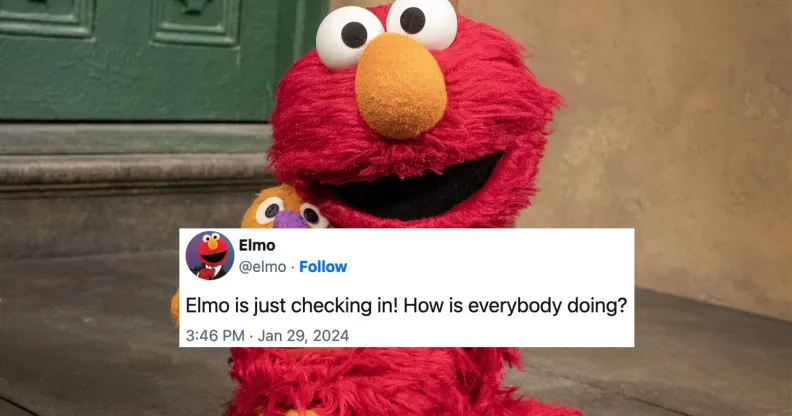 Image shows red Sesame Street puppet Elmo sitting on some steps with a superimposed caption that reads: Elmo is just checking in! How is everybody doing?