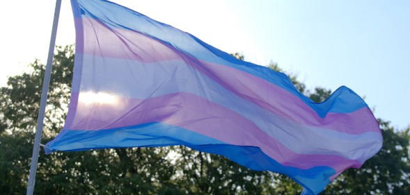 a pink, blue and white trans flag waves in the air before some trees in a setting in the US, perhaps Ohio
