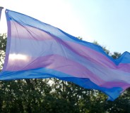 a pink, blue and white trans flag waves in the air before some trees in a setting in the US, perhaps Ohio