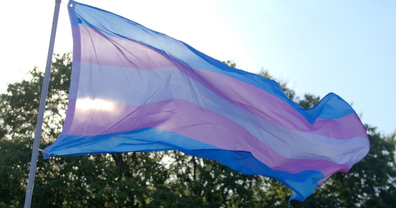 a pink, blue and white trans flag waves in the air before some trees in a setting in the US, perhaps Ohio