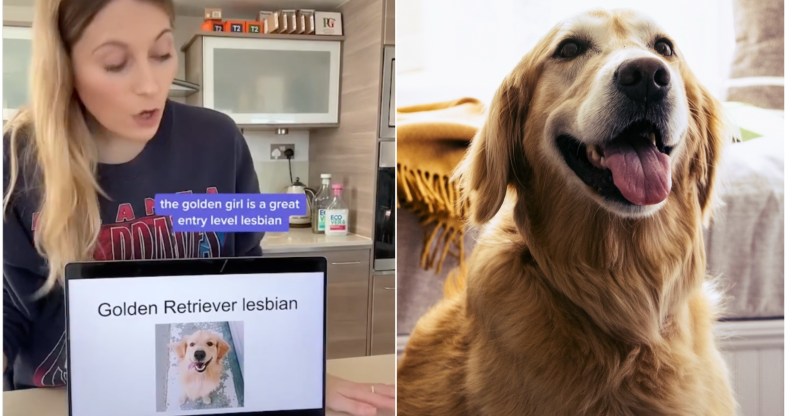 Image shows an Instagram influencer on the left, with long blonde hair, in a kitchen giving a presentation using her laptop, the title of the presentation is 'golden retriever lesbian'. On the right there is a photo of a golden retriever.