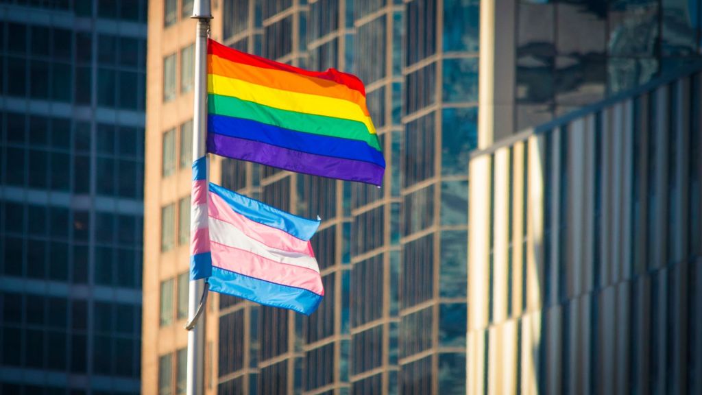 Trans flag and rainbow LGBTQ+ flag waving on a pole