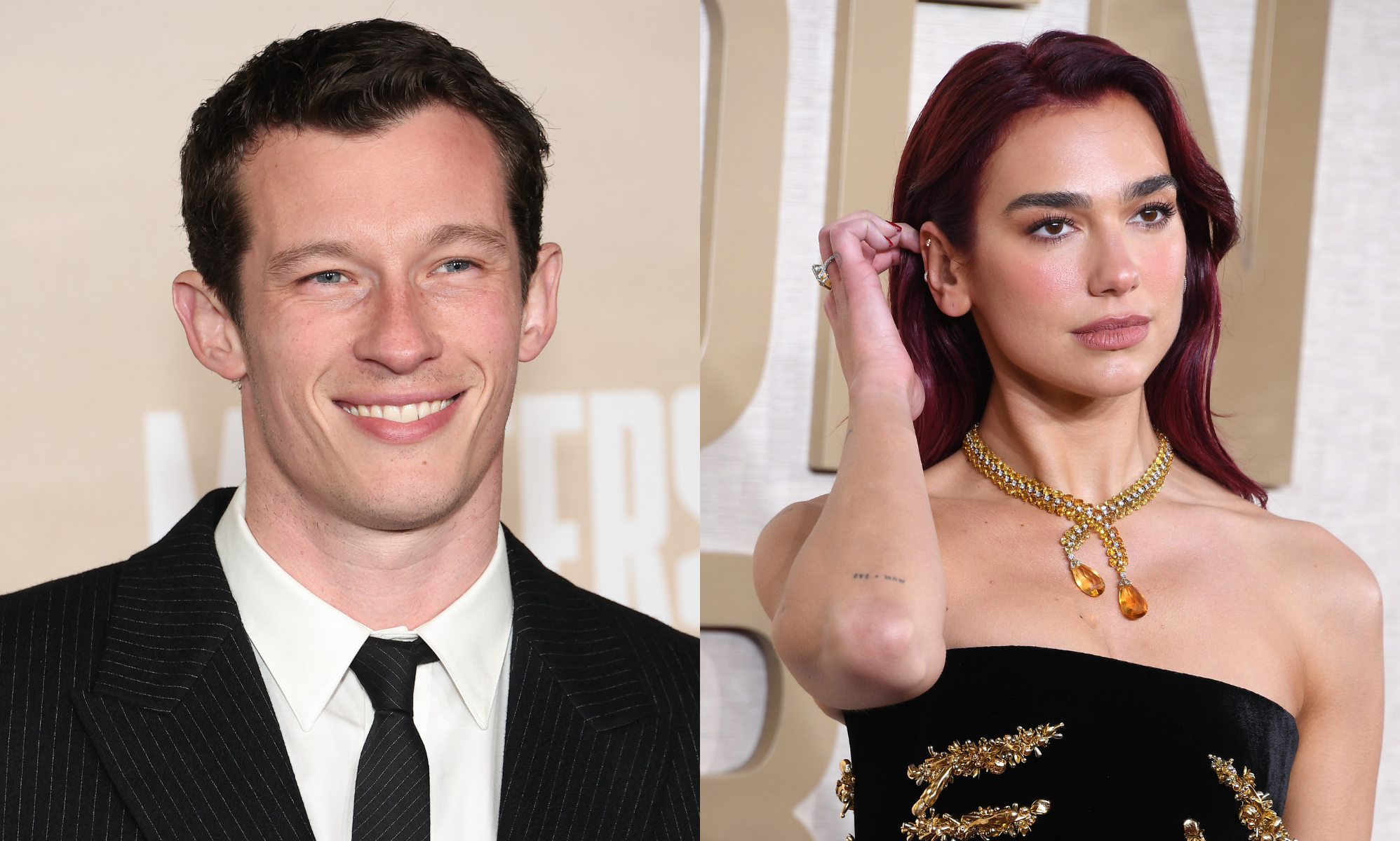 Dua Lipa sparks relationship rumours with actor Callum Turner - Vimarsana News