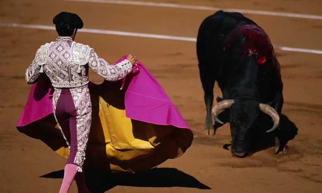 A matador and a bull in a bullfight in Spain