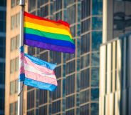 Stock image of LGBTQ+ flag and trans flag on a pole