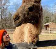 Lawyer turned animal communicator Nikki Vasconez.