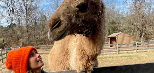 Lawyer turned animal communicator Nikki Vasconez.