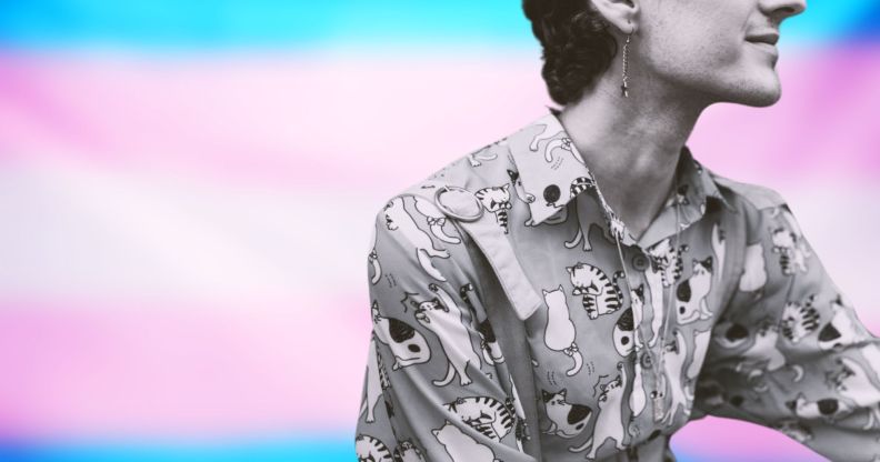 a graphic composed of the blue, pink and white stripes of the trans flag and a masculine person sitting as they look off camera