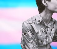 a graphic composed of the blue, pink and white stripes of the trans flag and a masculine person sitting as they look off camera