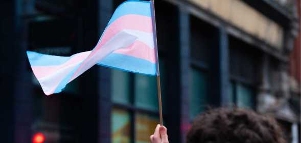 A trans Pride flag.