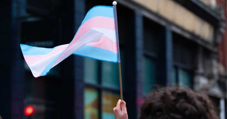 A trans Pride flag.