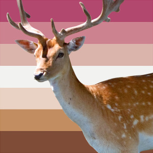 deer over the top of the Bambi flag