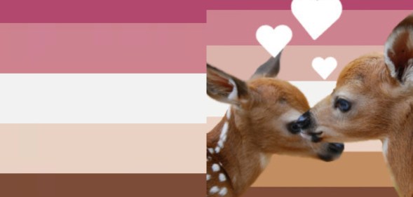 Bambi Lesbian Flag and the Bambi Lesbian Flag with two deers with love hearts above their heads.