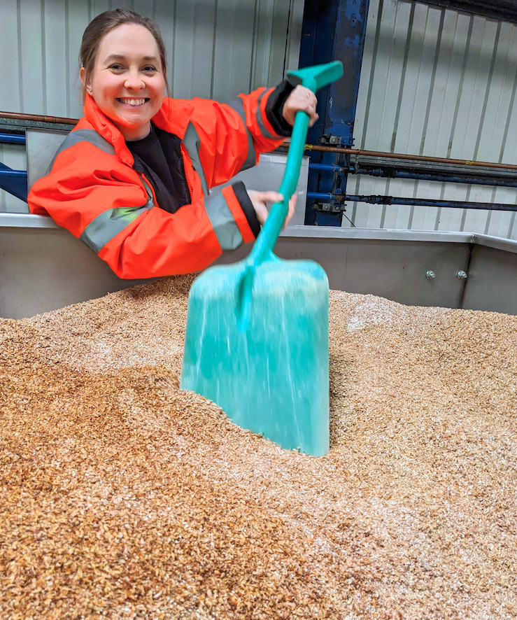 This is an image of a woman holding a shovel in a tub of barley. She is wearing a high vis orange vest.