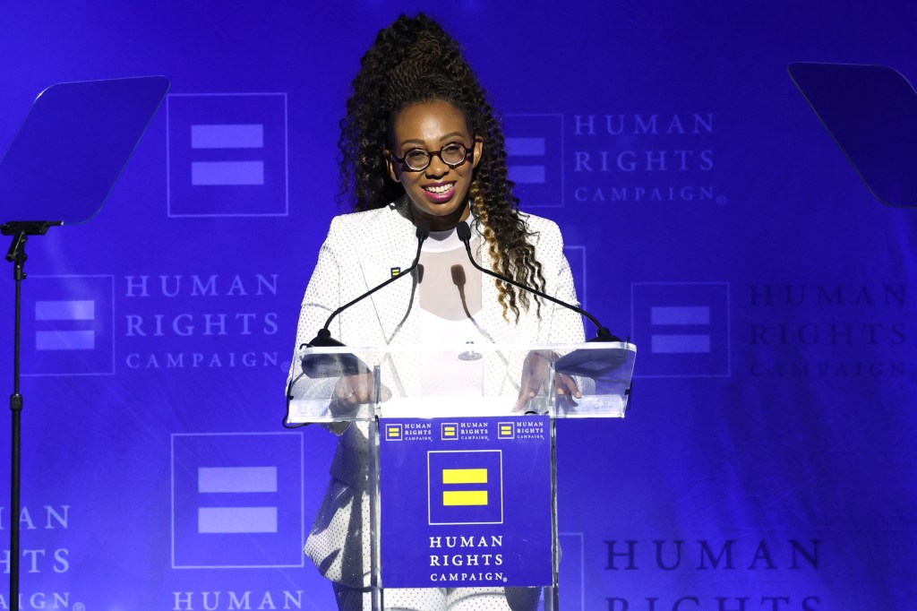 Human Rights Campaign's 2024 Los Angeles Dinner  - Show