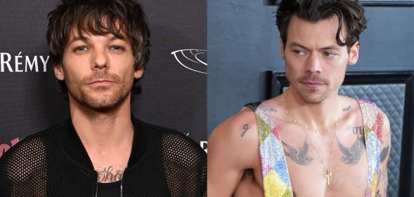 Louis Tomlinson (left) and Harry Styles (right) have been subjected to rumours of a relationship known as 'Larry' for years