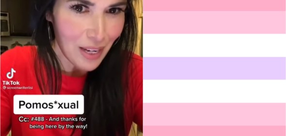 Image shows a woman with long dark hair on the left, explaining pomosexuality on TikTok. On the right is the Pomosexual Pride flag