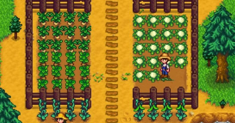 A screenshot of the video game Stardew Valley