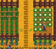 A screenshot of the video game Stardew Valley