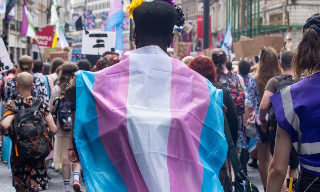 The back of a protestor wearing a trans flag as a cape
