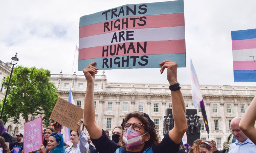 A protestor holds up a sign that reads "trans rights are human rights." 