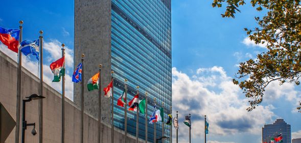 a picture of several county flags infront of the United Nations building in New York.