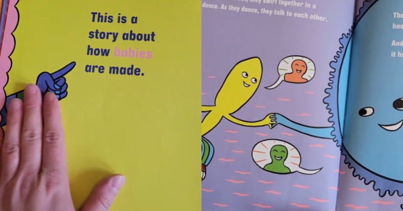 The book discusses where babies come from in an age-appropriate, gender-neutral way. (TikTok/@markusbones/What Makes A Baby)