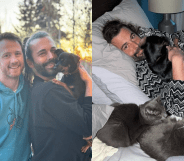 The star is parent to three dogs and five cats. (@jvn/Instagram)