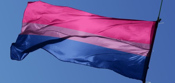 bisexual flag