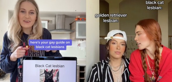 TikToks covering Black Cat Lesbian trend