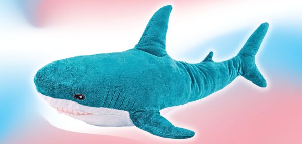 A Blahaj shark plushie photoshopped infront of a trans gradient.
