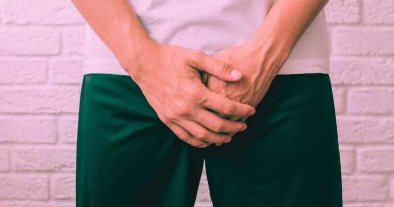 Researchers have found microplastics in canine and human testicular tissue