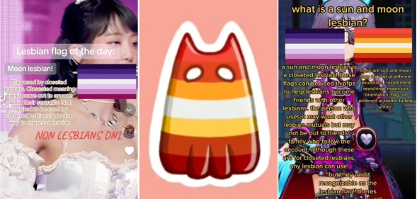 Composite image showing several TikTok videos about Moon and Sun lesbians