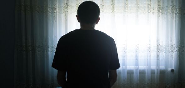 The back of a person looking out a window.