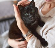 a woman holding a black cat