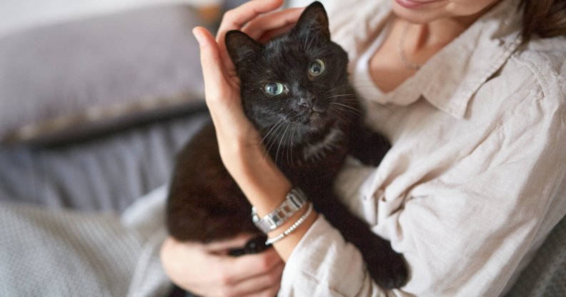a woman holding a black cat