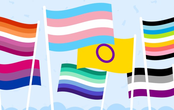 An image of different LGBTQ+ Pride flags