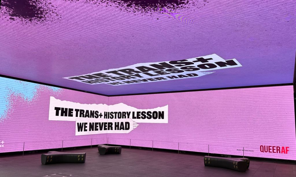 This is an image of an immersive art experience.