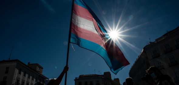 trans flag