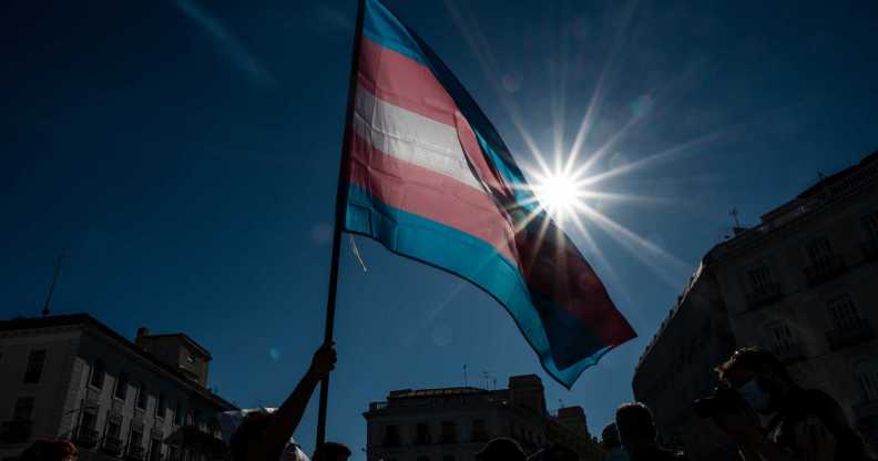 trans flag
